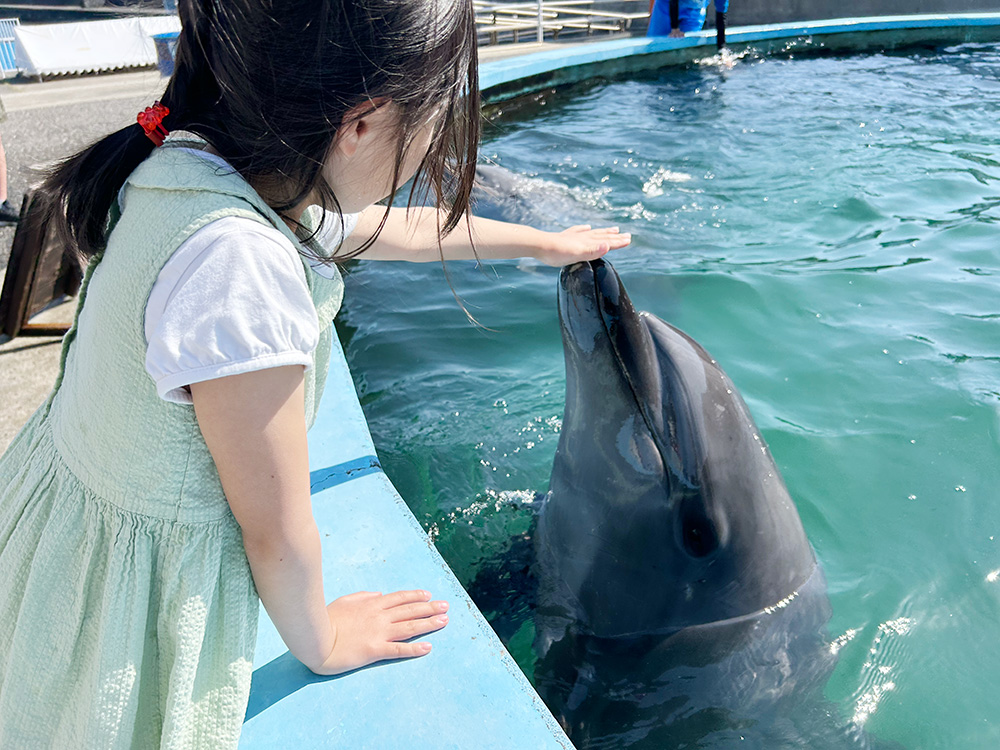 室戸ドルフィンセンター トレーナー体験