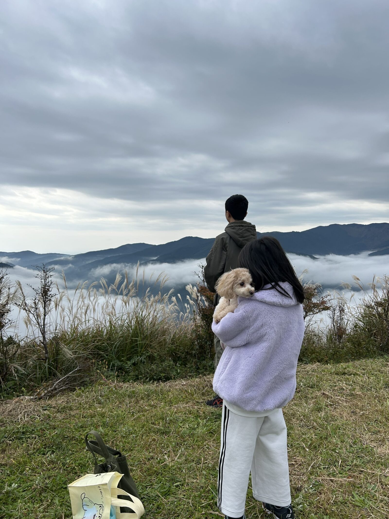 ゆとりすとパークの雲海