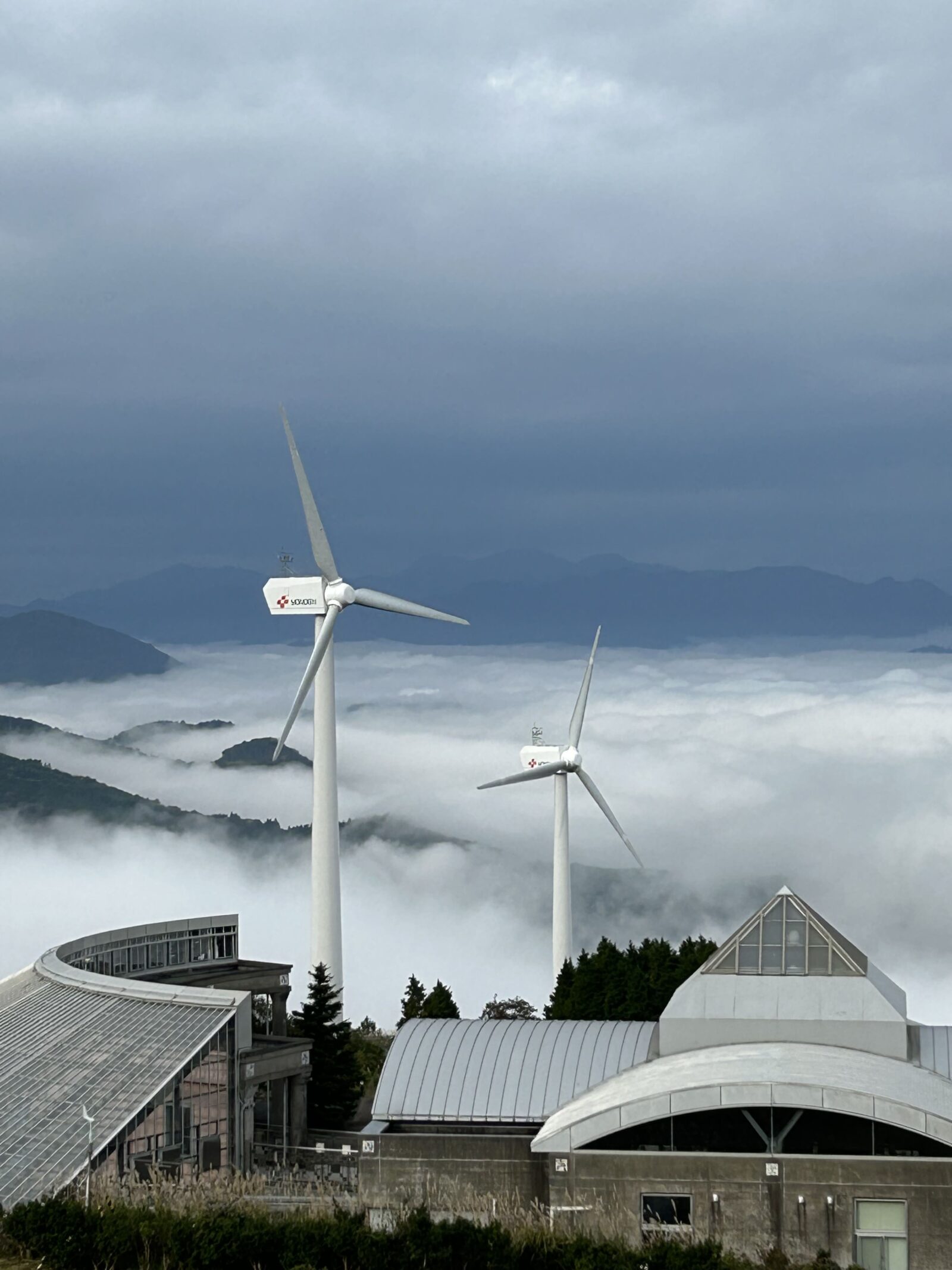 ゆとりすとパークの雲海